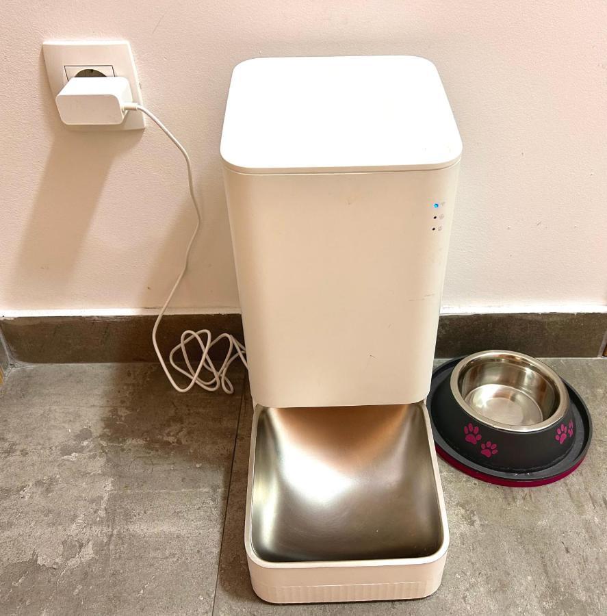 Flat Mara, Pet Friendly Daire Podgoriçe Dış mekan fotoğraf